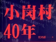 贾鸿彬纪实文学《小岗村40年》获华东六省文艺图书奖