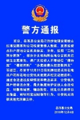 岳西警方就“映山红”案再次发出通报