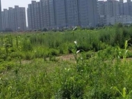 安徽2019年已處置閑置土地5.5萬畝