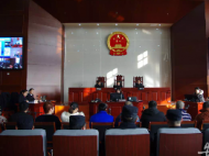 安慶：自建網站“有償刪帖” 十四人獲刑