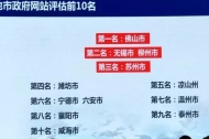 中國政府網站績效評估　六安獲全國第六