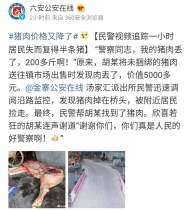 金寨：居民丟了半條豬，民警視頻追蹤找回