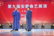 第九屆安徽曲藝展演阜南落幕 