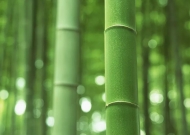 張建春：新竹