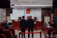 合肥龍生黑社會組織兩名“漏網(wǎng)”成員受審