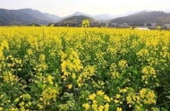 2019年安徽省中小學生研學實踐教育基（營）地名單公布