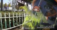 六安一女子逆行被攔停   辱罵并毆打交警被行拘