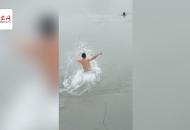 妻子落水丈夫施救遇險 霍邱一村干部下水奮勇救兩人