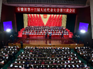 兩會觀察｜安徽省人大代表丁滿華：決勝全面小康 聚力實干興皖