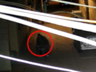 屡教不改！亳州一男子拘留释放后又盗窃