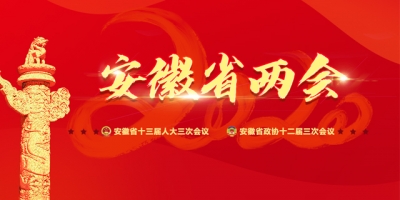 2020安徽省兩會
