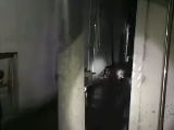 績溪一公牛脫韁之后在村中游蕩 警方當場將其擊斃
