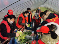 肥東一農戶捐贈300斤蔬菜直送隔離戶餐桌
