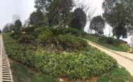 蕪湖縣城區三個口袋公園景觀提升工程正式完工