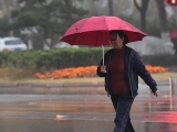 合肥1月9日阴天有雨夹雪 预计最高气温5℃