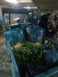 蕪湖市鳩江區二壩鎮開辟蔬菜綠色通道