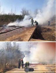 六安市葉集區：查處違規燃放煙花爆竹案15起 治安處罰15人