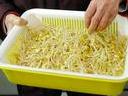 合肥市集體約談全市豆芽菜生產(chǎn)批發(fā)單位 要求批發(fā)市場實施快檢