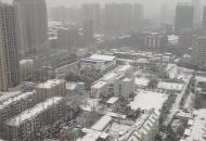 合肥迎初雪 銀裝素裹美如畫