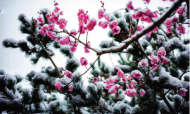 王維紅:祖母