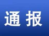 阜阳新型冠状病毒感染的肺炎疫情情况