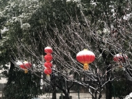 汪成友：你好