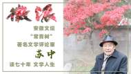
安徽文壇