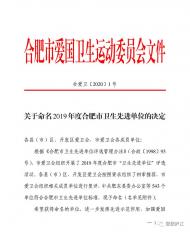 廬江75家單位被評(píng)為合肥市先進(jìn)！