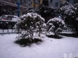 合肥发布暴雪蓝色预警 市区降雪持续
