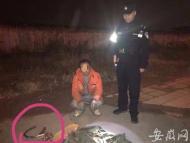 男子深夜盜竊電纜 合肥特警出手抓了現行