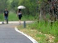 @合肥市民 玩轉春節(jié)假期 用不著出遠門