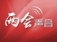 兩會觀察｜安徽省人大代表劉雨薇：開發地下空間作為“城市第二空間”