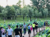 合肥瑤海區油坊游園何時建設？回復：在包河大道改造完成后