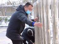 合肥淝河鎮黃巷村青年用青春筑起防“疫”墻