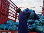 關注合肥地產菜滯銷| 愛心人士購15噸蔬菜發往湖北