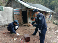 躲进深山老林“打野味”，猎物还没落网自己先落了网