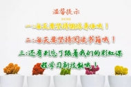 寒假加长尽量不出门 包河区“彩虹课程”在线免费启程