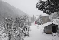 安徽六安今日迎來大雪 小山村銀裝素裹