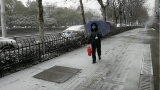 春雪飘落合肥！（视频）