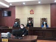 滁州市瑯琊區：“云庭審”助力審判工作不斷線