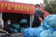 合肥大圩鎮幫助農戶對接商超 將新鮮蔬菜送到市民身邊