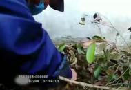 郎溪：敬老院老人疫情期間鉆洞出去撿破爛被勸阻