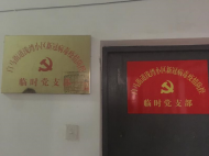 芜湖市弋江区：临时党支部发挥作用“不临时”