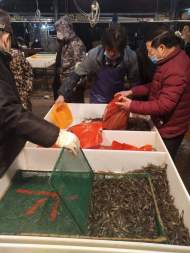 宣城：合作社助力開(kāi)辟“綠色通道” 400名水產(chǎn)養(yǎng)殖戶(hù)解困境