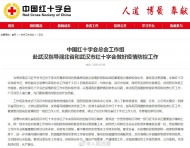 中國紅十字會總會赴武漢工作組：堅決徹底整改到位