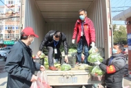 關注合肥地產菜滯銷 | 周谷堆開辟專區供本地蔬菜經營大戶銷售