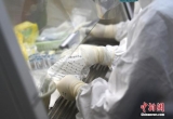 支援湖北医疗队专家：我们把“家底”带到了武汉