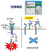 好消息！中国科大新冠肺炎攻关取得重要进展