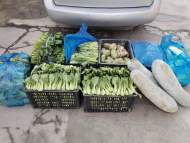 肥東縣搭建內部供需平臺 解決菜農“賣菜難”