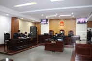 快捕快訴！安徽檢察機關辦理多起涉疫情犯罪案件